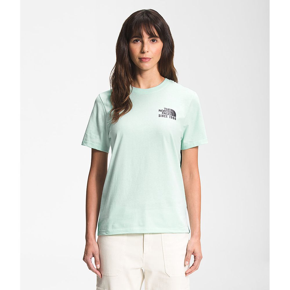 The North Face T-Shirts Womens Australia - The North Face Short Sleeve Mountain Peace Turquoise Moun